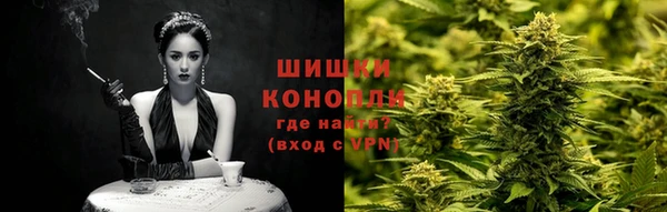 прущие грибы Зеленодольск