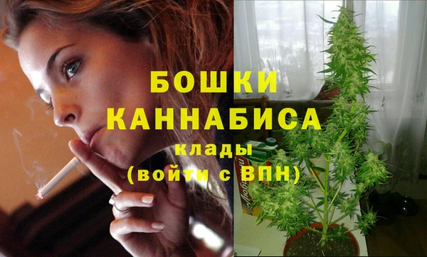 ECSTASY Рославль