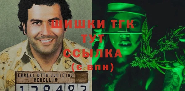 ECSTASY Рославль
