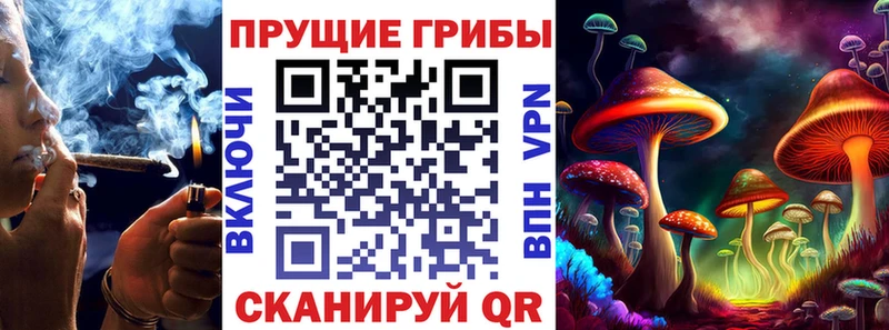 Галлюциногенные грибы мицелий где найти МЕГА Советск