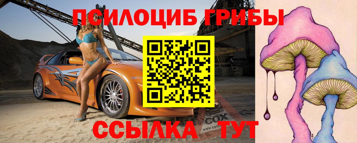 Советск  Галлюциногенные грибы Magic Shrooms  Галлюциногенные грибы Magic Shrooms  Вход с VPN 